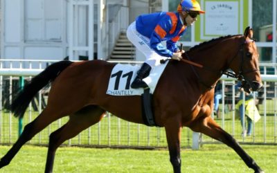 Ticino Bloodstock su Mondo Turf